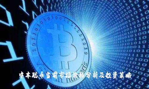 中本聪币当前市场价格分析及投资策略