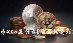 虚拟币XCH是什么？它为何