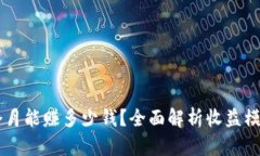 TPWallet一个月能赚多少钱？